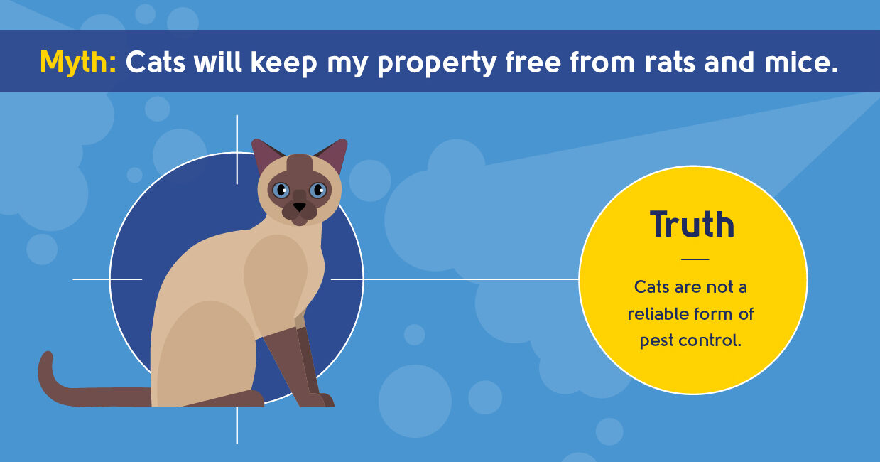 myth - cats will keep my property free from rats and mice
