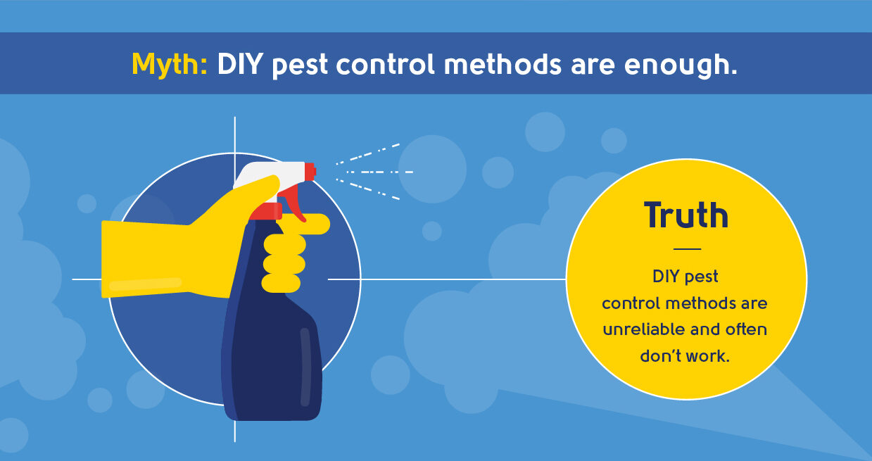 myth - DIY pest control methods are enough