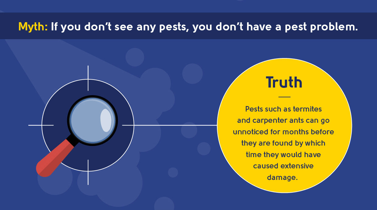 myth - if you don't see any pests, you don't have a pest problem